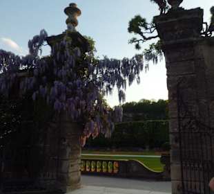 Im Mirabellgarten
