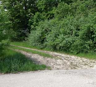 Burgruine Hohenringingen
