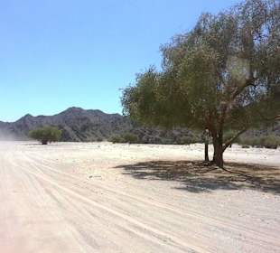 Wadi el Gimal Ausflug mit Geführte Touren Morgenland Reisen