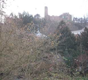 Sichtungsgarten Hermannshof