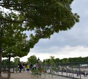 Jardin des Tuileries