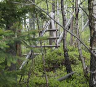Berg Schneekoppe/Śnieżka
