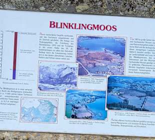 Blinklingmoos