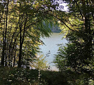 Twistesee