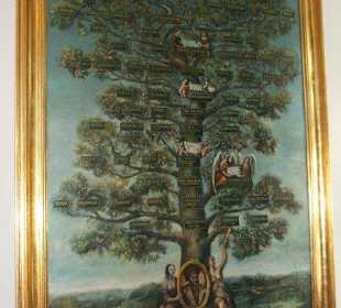 Drzewo genealogiczne