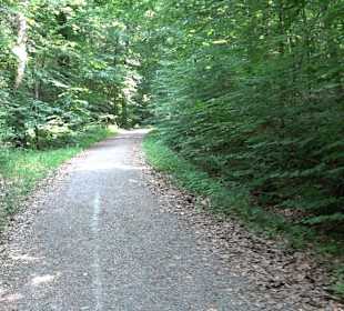 Rundwanderung Klingenbachtal - Sulzbachsee