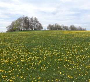 Vulkankrater-Rundweg Apfelstetten