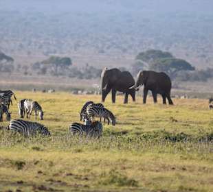Geführte Touren Marco Polo Tours & Safaris Diani Beach