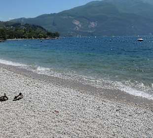 Blick zum Kiesstrand von Riva del Garda