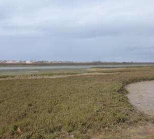 Unterwegs im Ria Formosa Natural Park