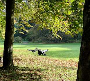 Relaxen in der Herbstsonne im Kurpark