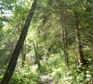 Wasserfall-Tour: Richtung Hochfall-Wasserfall