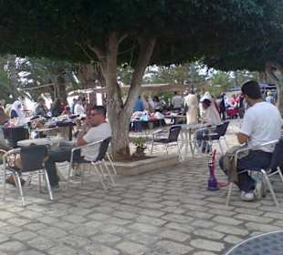 Mahdia