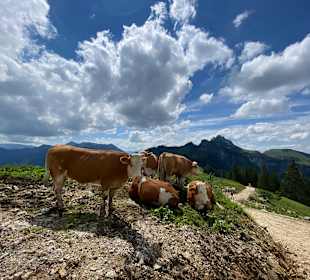 Wandern Bernau am Chiemsee