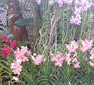 Botanischer Garten
