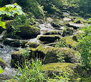 Saußbachklamm