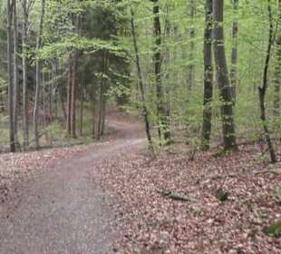 Wanderweg Firstwaldrunde