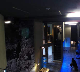 Höhlenerlebniswelt Giengen-Hürben