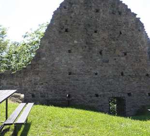 Litice nad Orlicí hrad