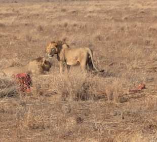 Tsavo East 