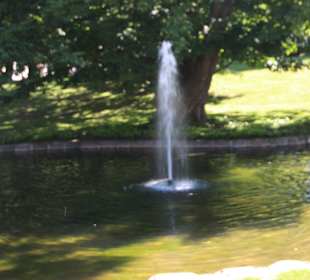 Idyllischer Vogelteich mit Springbrunnen