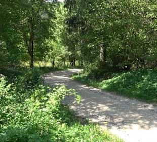 Premiumwanderweg Hochgehschätzt