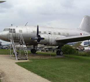 IL-14