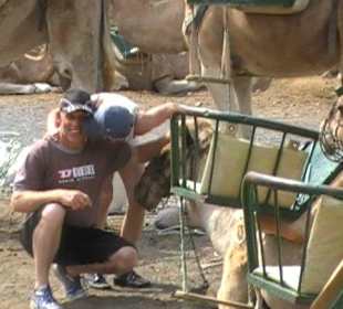 Soll ich ein Kamel küssen?