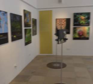 Museum für Ur- und Frühgeschichte