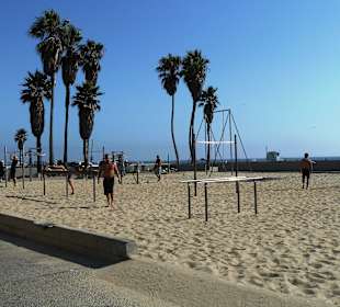Muscle Beach