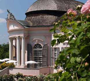 Rosenblüte vor dem barocken Gartenpavillon