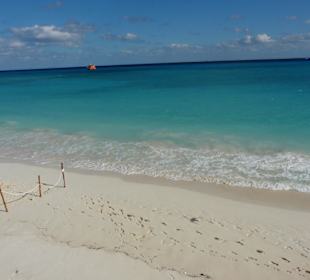 Strand in Playa del Carmen