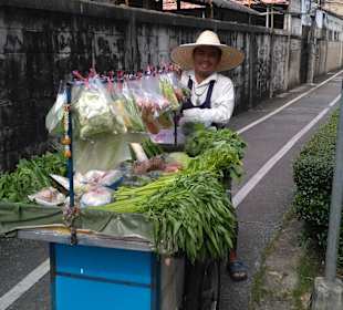 Mit Green Mango das ursprüngliche BKK entdecken