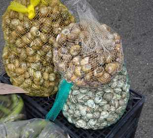 Frische Schnecken auf dem Wochenmarkt