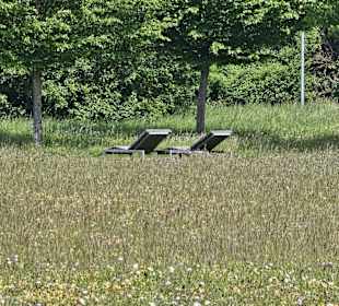 Blumenwiese/Ruhewiese