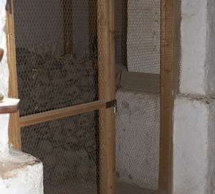 Voll mit Totenschädel