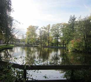 Schwanenweiher Kandel