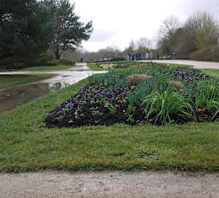 I m Sommer bestimmt nich besser