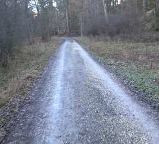 Ochsenweiher Rundweg