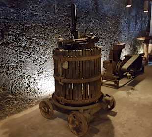Weinmuseum und Kakteen-Ausstellung El Grifo