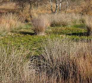 Hochmoorlandschaft um das Ewige Meer