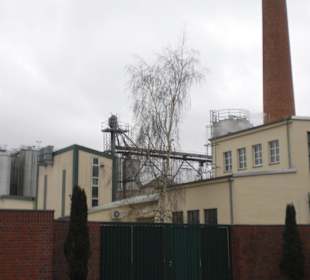 Brauerei Lübz