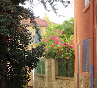 Impressionen aus der Altstadt von Collioure