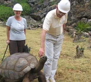 La plus vieille et plus grande des 150 tortues