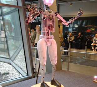 Robot
