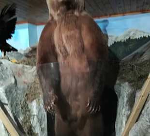 Alpen Wildpark Feld am See