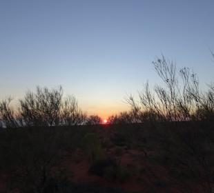 Ayers Rock / Uluru