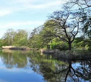 Rundgang durch den Hermann-Löns-Park