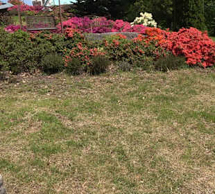 Sankt-Anna-Kapelle Bad Peterstal-Griesbach