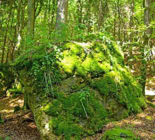 Der Therapeutische Wanderweg